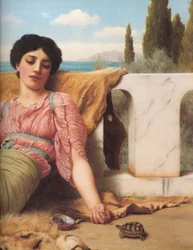Un animale domestico tranquillo (dettaglio)